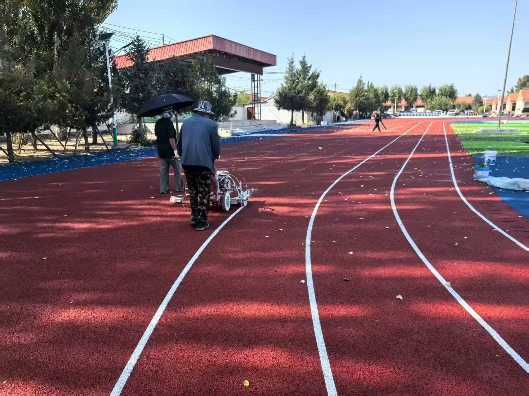 镇江市EPDM塑胶跑道全塑型塑胶跑道 - 厂家
